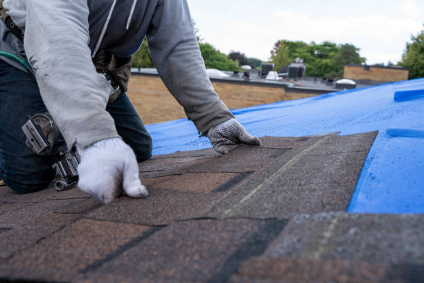 Gutter Installation and Roofing in New Union, TN