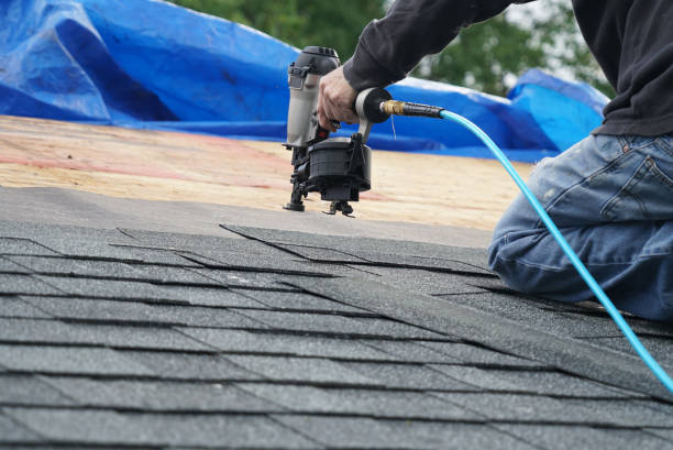 Roof Gutter Cleaning in New Union, TN