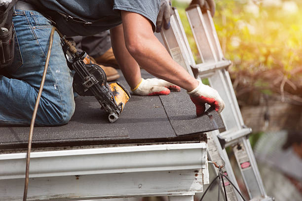 Best New Roof Installation  in New Union, TN